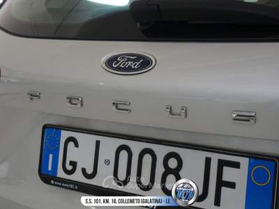 Ford Focus 1.5 EcoBlue 120 CV automatico SW Business Grigio usata Galatina