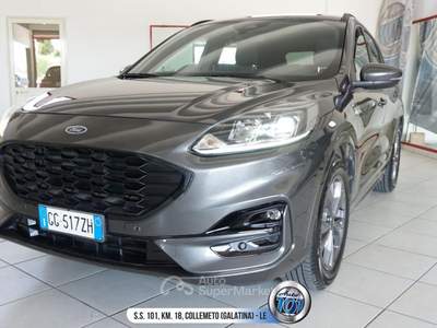 Ford Kuga 1.5 EcoBlue 120 CV aut. 2WD ST-Line Grigio usata Galatina