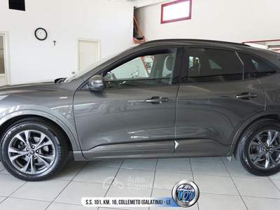 Ford Kuga 1.5 EcoBlue 120 CV aut. 2WD ST-Line Grigio usata Galatina