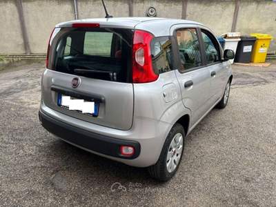 Fiat Panda 1.2 Pop Grigio usata Roma