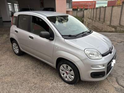Fiat Panda 1.2 Pop Grigio usata Roma
