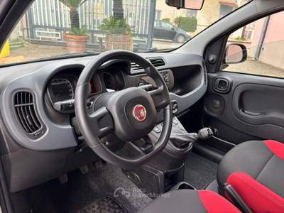 Fiat Panda 1.2 Pop Grigio usata Roma