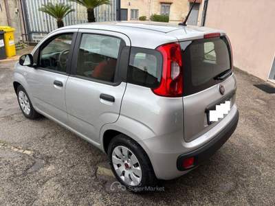 Fiat Panda 1.2 Pop Grigio usata Roma