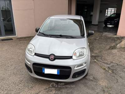 Fiat Panda 1.2 Pop Grigio usata Roma