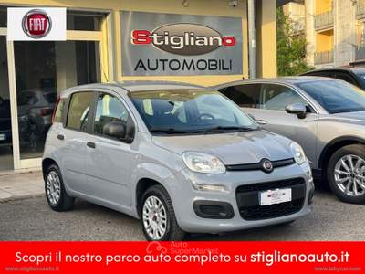 Fiat Panda Panda 1.2 Easy Grigio usata Bernalda