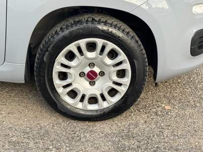 Fiat Panda Panda 1.2 Easy Grigio usata Bernalda