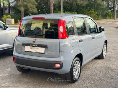 Fiat Panda Panda 1.2 Easy Grigio usata Bernalda