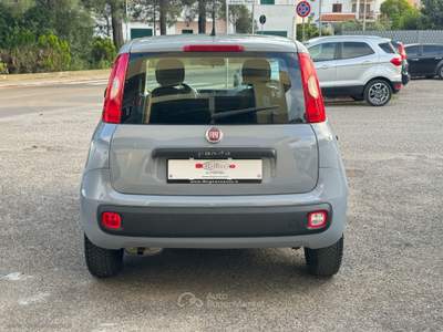 Fiat Panda Panda 1.2 Easy Grigio usata Bernalda