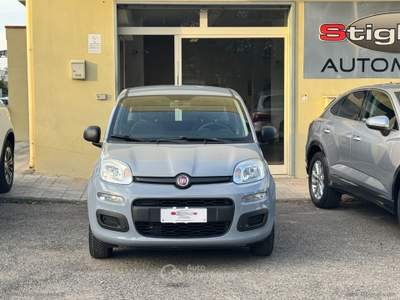 Fiat Panda Panda 1.2 Easy Grigio usata Bernalda