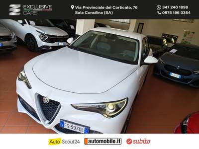 Alfa Romeo Stelvio Stelvio 2.2 T.diesel 210 CV AT8 Q4 Exec. Bianco usata Sala Consilina