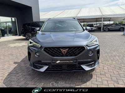 Cupra Formentor 2.0 TDI 4Drive DSG Grigio usata Quinto di Treviso