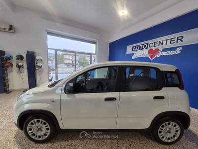 Fiat Panda 1.0 FireFly S&S Hybrid Bianco usata Brolo