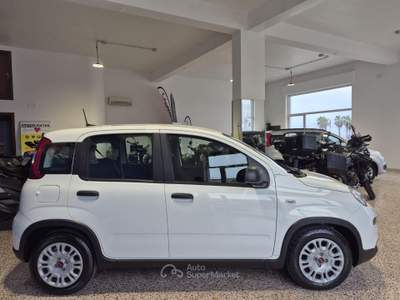Fiat Panda 1.0 FireFly S&S Hybrid Bianco usata Brolo