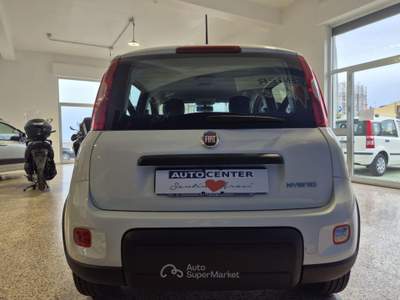Fiat Panda 1.0 FireFly S&S Hybrid Bianco usata Brolo