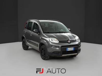 Fiat Panda 0.9 TwinAir Turbo 4x4 S&S 85cv Grigio usata Bianzone