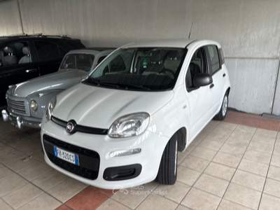 Fiat Panda benzina Grigio usata Asigliano Veneto