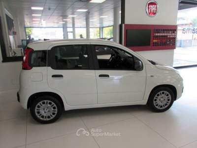 Fiat Panda 1.0 FireFly 70cv S&S Hybrid ICON KMZERO Bianco usata Rho