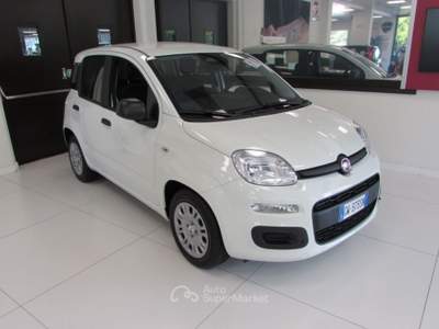 Fiat Panda 1.0 FireFly 70cv S&S Hybrid ICON KMZERO Bianco usata Rho