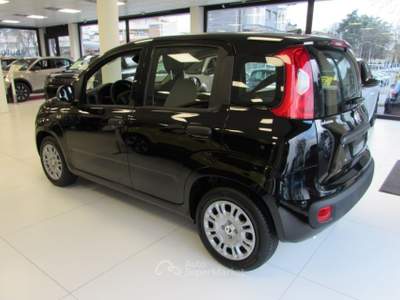 Fiat Panda 1.0 FireFly 70cv S&S Hybrid ICON KMZERO Nero usata Rho