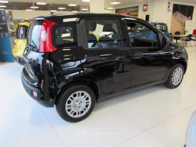 Fiat Panda 1.0 FireFly 70cv S&S Hybrid ICON KMZERO Nero usata Rho