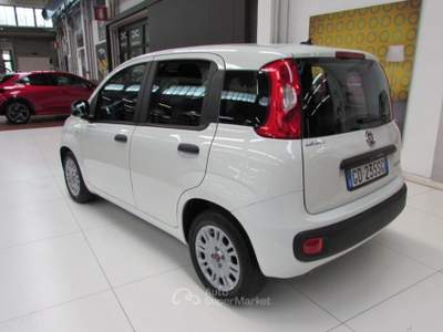 Fiat Panda 1.0 FireFly 70cv S&S Hybrid Easy Bianco usata Rho