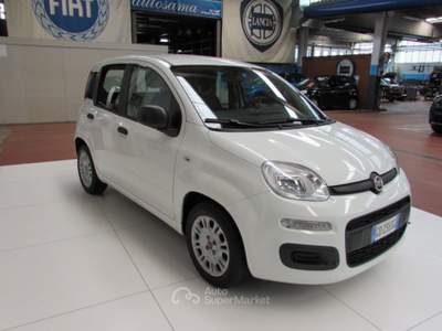 Fiat Panda 1.0 FireFly 70cv S&S Hybrid Easy Bianco usata Rho