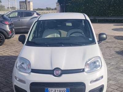 Fiat Panda FIAT PANDA 1.3 Bianco usata Galatina