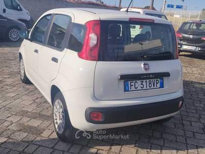 Fiat Panda FIAT PANDA 1.3 Bianco usata Galatina