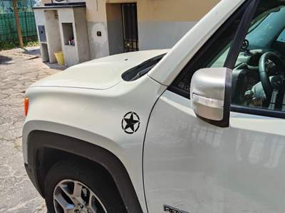 Jeep Renegade in buono stato non fumatore Bianco usata Parma