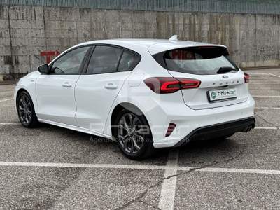 Ford Focus FORD Focus 1.5 EcoBlue 115 CV automatico 5p. ST-Line Bianco usata Trento