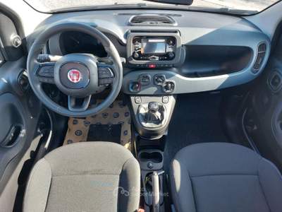 Fiat Panda 1.0 FireFly S&S Hybrid Nero usata Cittadella