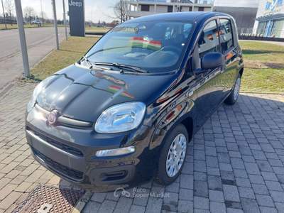 Fiat Panda 1.0 FireFly S&S Hybrid Nero usata Cittadella