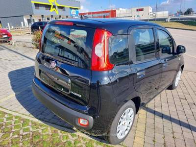 Fiat Panda 1.0 FireFly S&S Hybrid Nero usata Cittadella