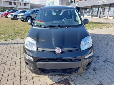 Fiat Panda 1.0 FireFly S&S Hybrid Nero usata Cittadella