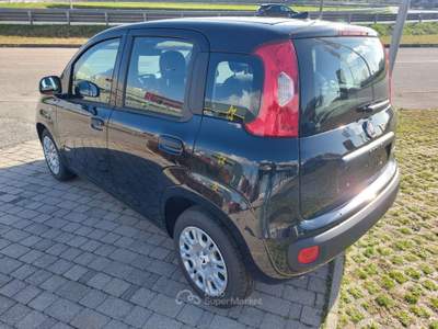 Fiat Panda 1.0 FireFly S&S Hybrid Nero usata Cittadella
