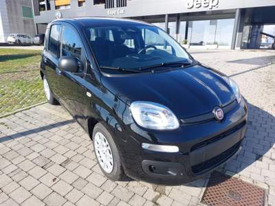 Fiat Panda 1.0 FireFly S&S Hybrid Nero usata Cittadella
