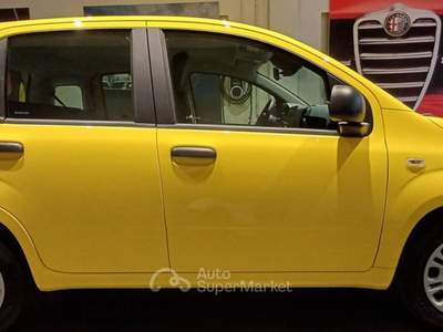 Fiat Panda 1.0 FireFly S&S Hybrid POP Giallo usata Cittadella