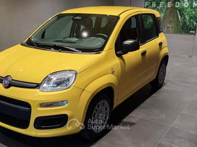 Fiat Panda 1.0 FireFly S&S Hybrid POP Giallo usata Cittadella