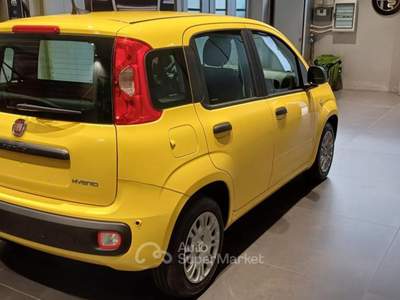 Fiat Panda 1.0 FireFly S&S Hybrid POP Giallo usata Cittadella