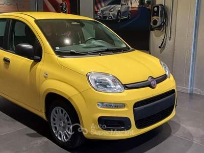 Fiat Panda 1.0 FireFly S&S Hybrid POP Giallo usata Cittadella