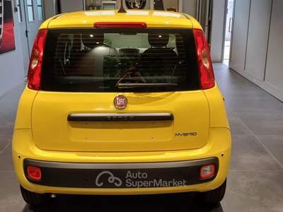 Fiat Panda 1.0 FireFly S&S Hybrid POP Giallo usata Cittadella