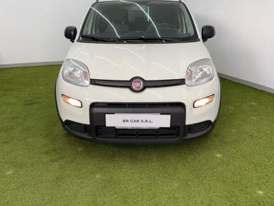 Fiat Panda FireFly S&S Hybrid City Life Bianco usata San Sebastiano al Vesuvio