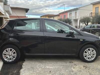 Fiat Punto Punto Nero usata Campi Bisenzio