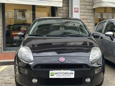 Fiat Punto Punto Nero usata Campi Bisenzio