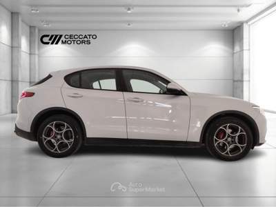 Alfa Romeo Stelvio 2.2 Turbo Business Q4 AT8 Grigio usata Padova