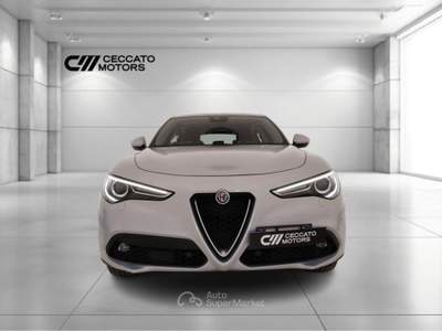 Alfa Romeo Stelvio 2.2 Turbo Business Q4 AT8 Grigio usata Padova