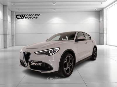 Alfa Romeo Stelvio 2.2 Turbo Business Q4 AT8 Grigio usata Padova