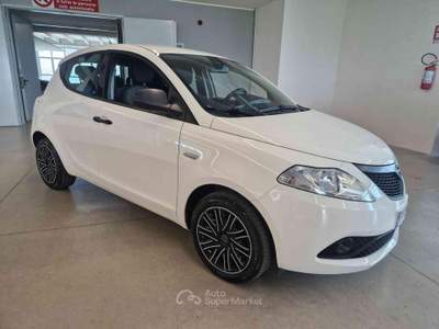 Lancia Ypsilon 1.2 69 CV 5 porte GPL Ecochic Elefantino Blu Bianco usata Imola