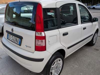 Fiat Panda Benzina/Metano Bianco usata Savignano sul Rubicone