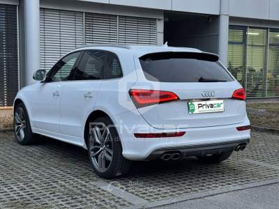 Audi SQ5 AUDI SQ5 3.0 V6 TDI Biturbo quattro tiptronic Business Bianco usata Trento